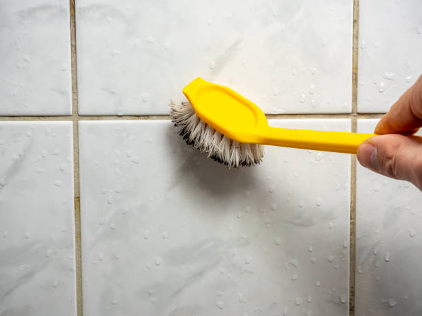 Best Mold Testing  in , DC