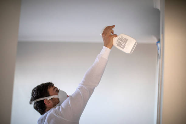 Best Black Mold Removal  in , DC
