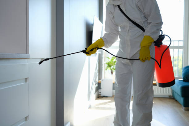 Best Mold Remediation  in , DC