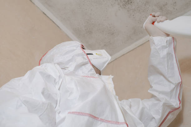 Best Emergency Mold Removal  in , DC