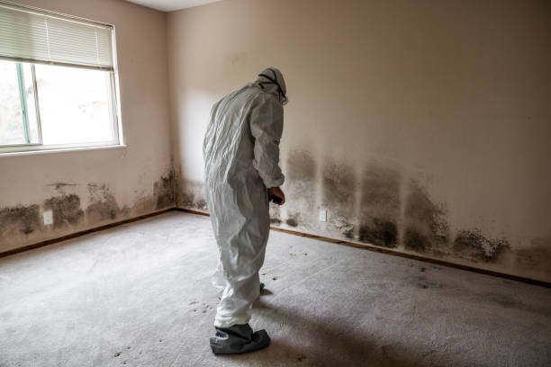 Best Mold Testing  in , DC