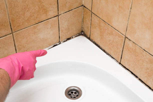 Best Mold Cleaning Services  in , DC